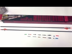 Flèches entières de carbone