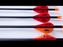 3K flèches de chasse à l'assassin