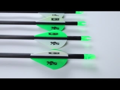 .204 flèches de chasse à l'assassin