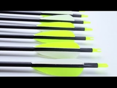 taille standard 6.2mm chasse et cible flèches série Blast Pro