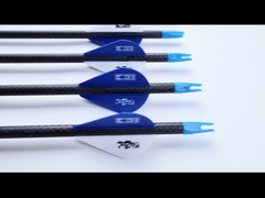 les flèches du trône